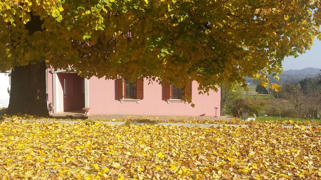 Merkez Guest House Bizeljsko Екстериор снимка